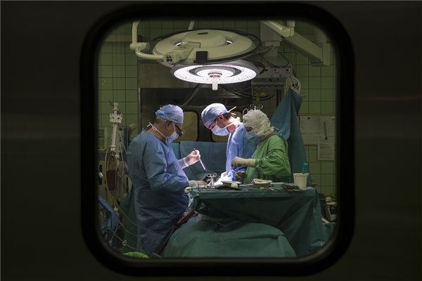 Szívtranszplantáció a városmajori klinikán - Tízezer szervátültetés Magyarországon