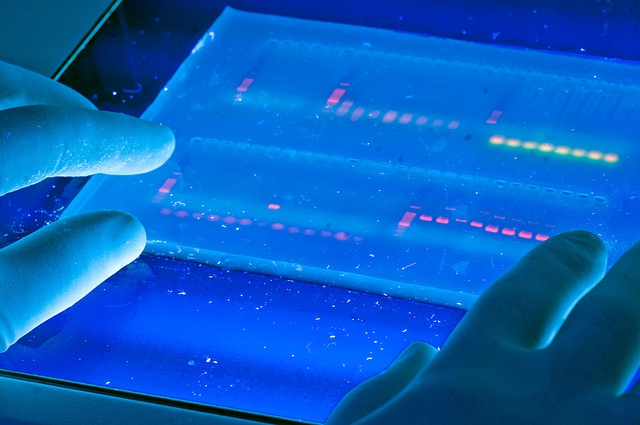 Forradalmi módszer a rákot okozó genetikai mutációk beazonosítására