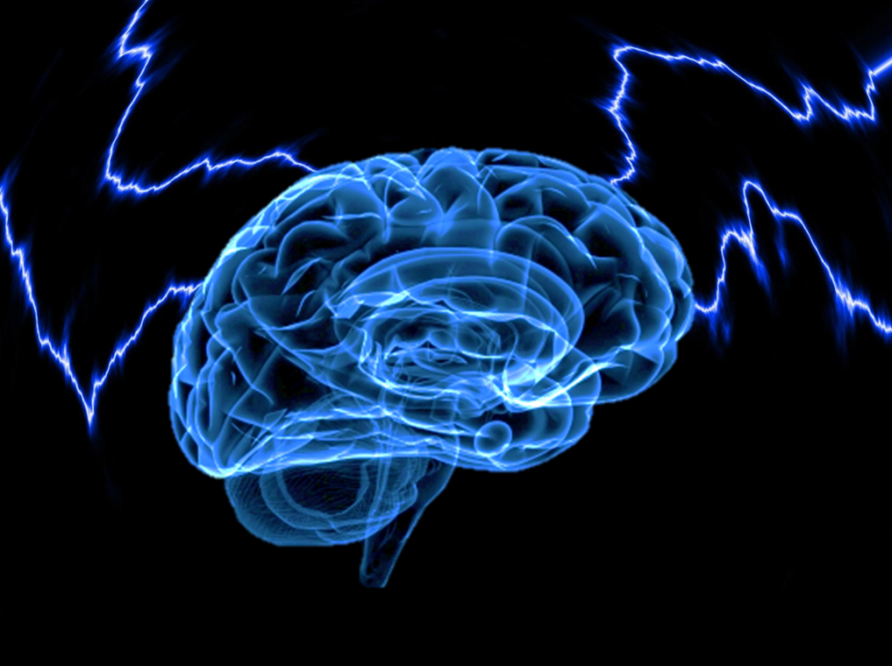 Kutatók éjszakája Pécsett is - mit tud Ön az emberi agy visszanövesztéséről?