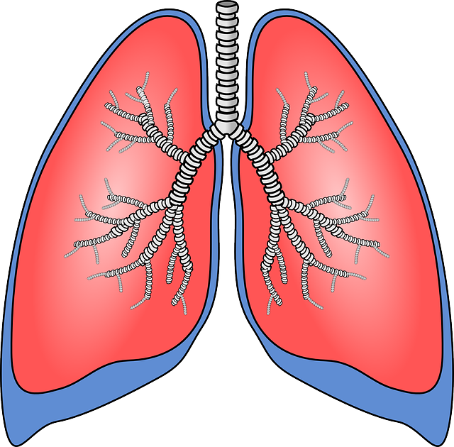 Hörgőasztma (asthma bronchiale) és krónikus obstruktív tüdőbetegség (COPD) együttes megjelenése