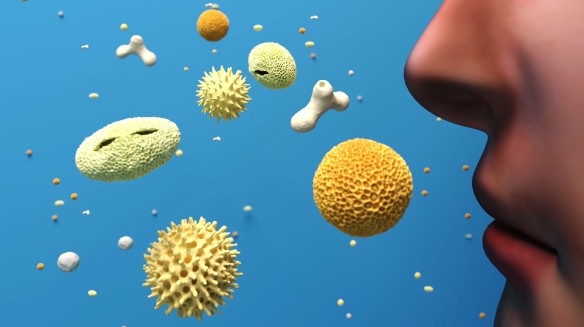diabétesz kezelés pollen